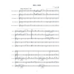 画像1: サックス５重奏楽譜　貴婦人の乗馬  作曲/編曲　 ブルグミュラー/内海 治夫  （2009年新譜）