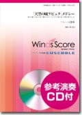 フルート4重奏楽譜  「天空の城ラピュタ」メドレー　 [参考音源CD付]【2014年12月12日発売】